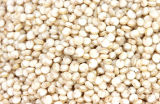 Pszeudocereáliák, azaz az álgabonák 1. Quinoa
