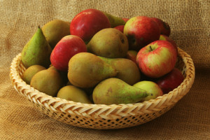 Rostpótlás és az almatermésű gyümölcsök