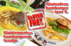 Glutenfree hamburger tour 5. - gluténmentes hamburgerek tesztje