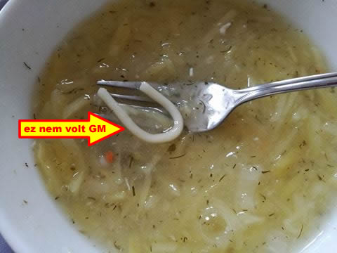 diétahiba oka a normál tészta a gluténmentes levesben