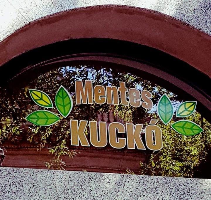 Mentes Kuckó Szeged